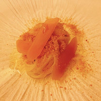 ピアット・スズキ - 