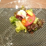 YANAGI - 北海道の農家さん直送の野菜サラダ