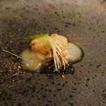 YANAGI - 真ダチ 柚子香るカブのソース