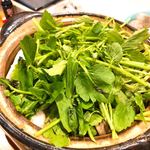 浅草じゅうろく - セリ鍋