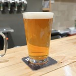 Hathor - ファゾムＩＰＡ