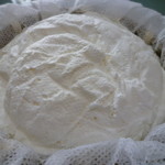 アン プティ スター - 生クリームの様にフワッフワです♪