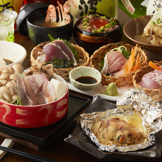 小田原真鶴の地魚と旬菜料理のコース。充実の飲み放題もあります