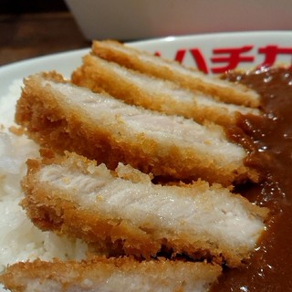 渋谷ハチカレー_1