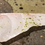 馳走 啐啄一十  - (12)縞鯵(7日熟成)(鹿児島県産)
      産卵期は秋～冬、旬は夏～秋。
      寝かせているのにプリッとした食感
      脂がのって柔らかくコクのある旨み
      スッキリとして軽やかな後味です