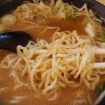 ラーメン屋 弘 - 味噌ラーメン750円　麺アップ