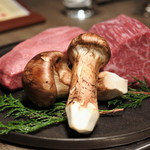 USHIGORO S. NISHIAZABU - 