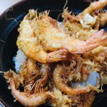 更科 - 