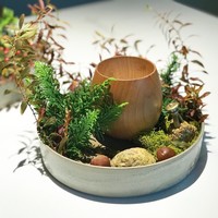 レスピラシオン - 