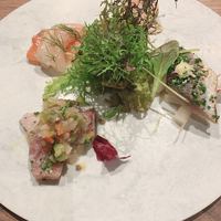 Selvaggio - 