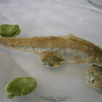 アーリア ディ タクボ - アミューズ　琵琶湖産子持ちワカサギ　鹿児島産空豆　芹のタルタル　全景