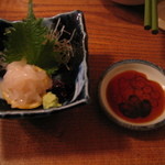 飛騨の味 酒菜 - 富山直送白エビのお造り