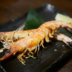 sashimi dining 魚浜 アンド バル - 