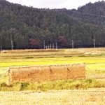 徳山鮓 - 余呉駅から眺めた 稲刈り後の のどかな田園風景。癒されます。　　　　　　2019.10.26