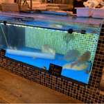 チロンボ・マリーナ - 