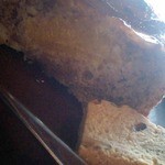 まめすず - ナチュラルタルト（熊本産ネーブル）