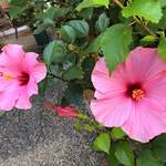 ケーオーホテル - 