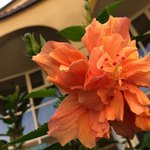 ケーオーホテル - 