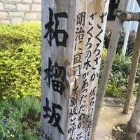 ブッフェアンドカフェ スロープサイドダイナー ザクロ - 