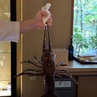 一心鮨 光洋 - 