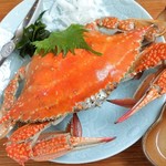 小料理 花びし - 