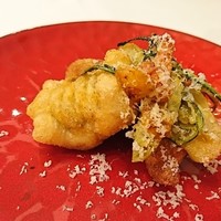 Ristorante IL PRINCIPE - フリット