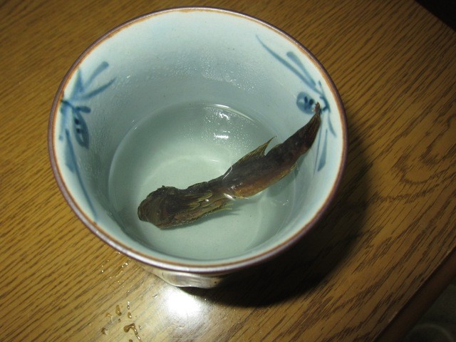 お饅頭屋に鰍 かじか の骨酒 By B型人 丸須製菓 まるすせいか 水上 和菓子 食べログ