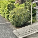 野さか - 豚の形をした植木【その他】