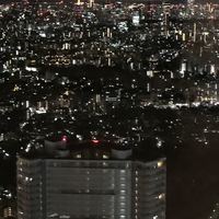 天空の庭　星のなる木 - 