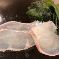 鮨桂太 - 