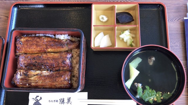 浜名湖うなぎ処 勝美 三ヶ日本店 かつみ 尾奈 うなぎ 食べログ 浜名湖うなぎ処 勝美 三ヶ日本店 かつみ 尾奈 うなぎ 食べログ