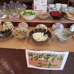 南平台温泉ホテル - 朝食バイキングのサラダ