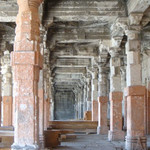 The Society - 回廊