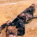 くわ焼 たこ坊 - 鰻の肝 240円