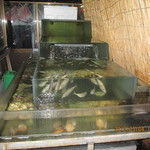 活魚割烹 赤坂 - 生け簀