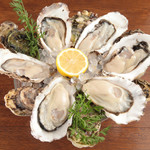 オイスターバー COVO - 