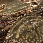 スパイステーブル - 佐賀県産活渡り蟹