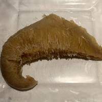 筑紫樓 銀座店 - 