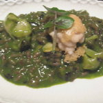 カモシヤ クスモト - 各種貝のリゾット・クレソンのピューレで