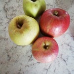 原田農園 - 2019収穫のりんご