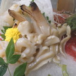 Katsugyo Nabeshima - 白ミル貝のお造り