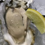 ビストロ ティアボ - 