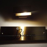 ブロッサム - 2012年2月撮影