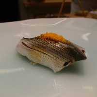 鮨 なんば 日比谷 - 小鯺