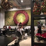 Nicolai Bergmann NOMU - 