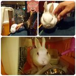 ぬくもりの宿 ふる川 - 