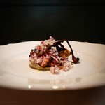 フォリオリーナ・デッラ・ポルタ・フォルトゥーナ - 