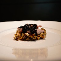 フォリオリーナ・デッラ・ポルタ・フォルトゥーナ - 