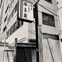 吉寅 - 