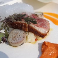 アコルドゥ - メインメニュー